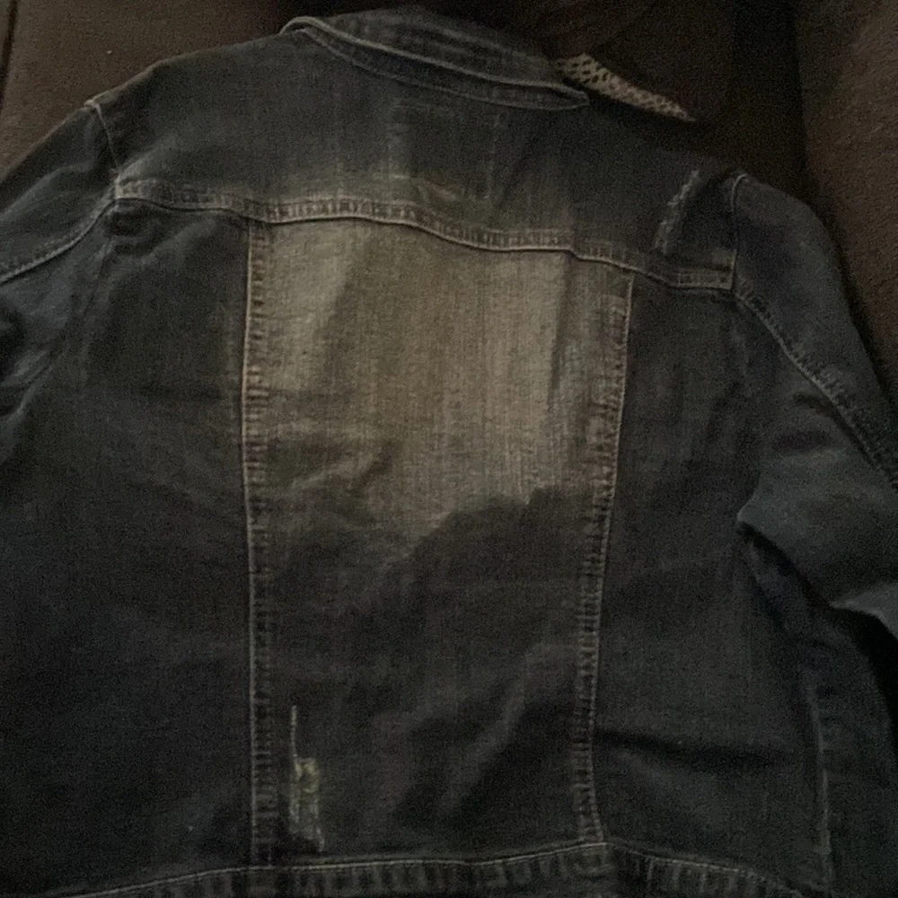 American Rag - Picture 6 of 6